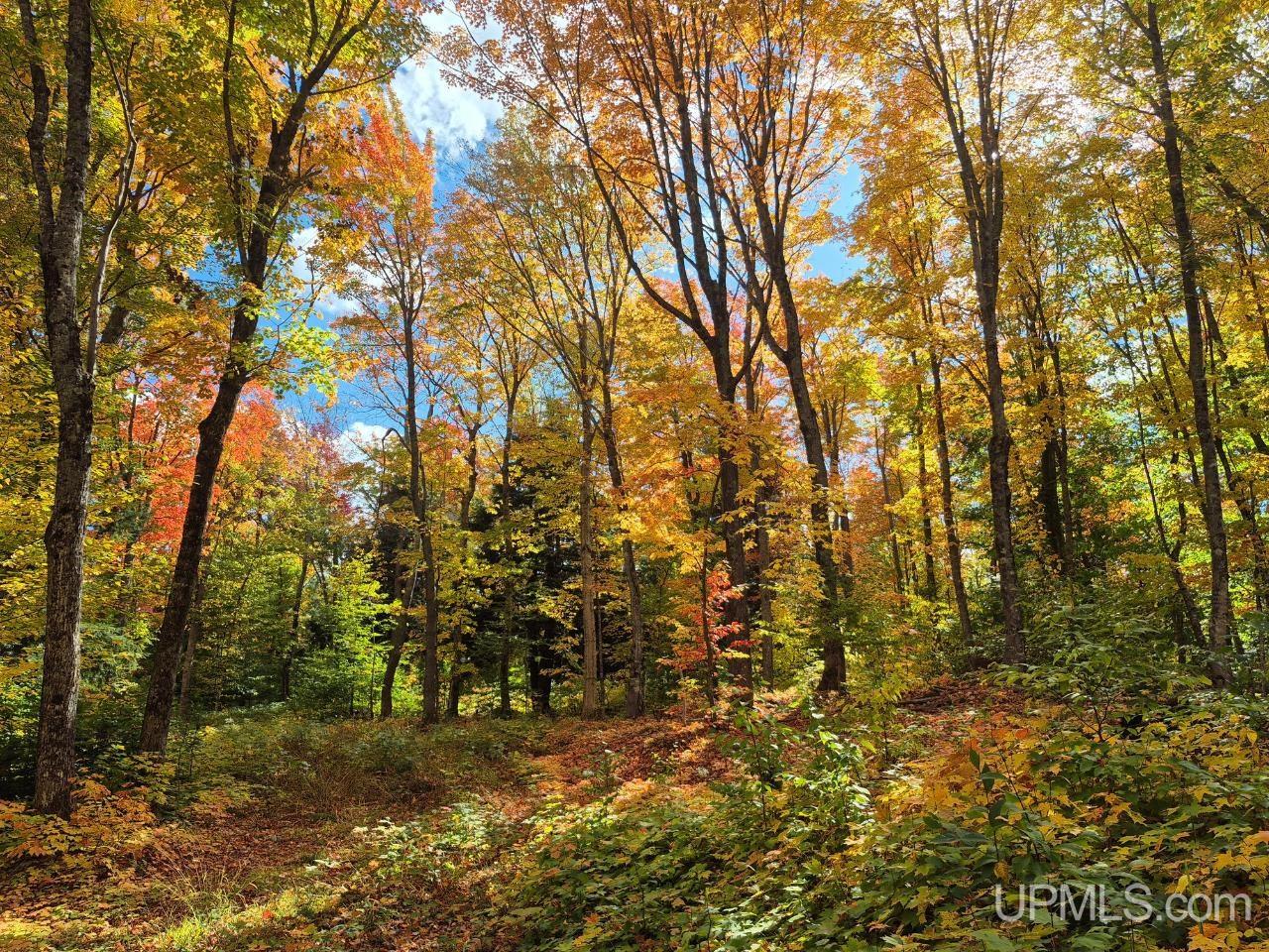 510 Rd Ishpeming Mi 49849 Road Ishpeming, MI 49849 - Photo 17 of 25 Gallery Image 17