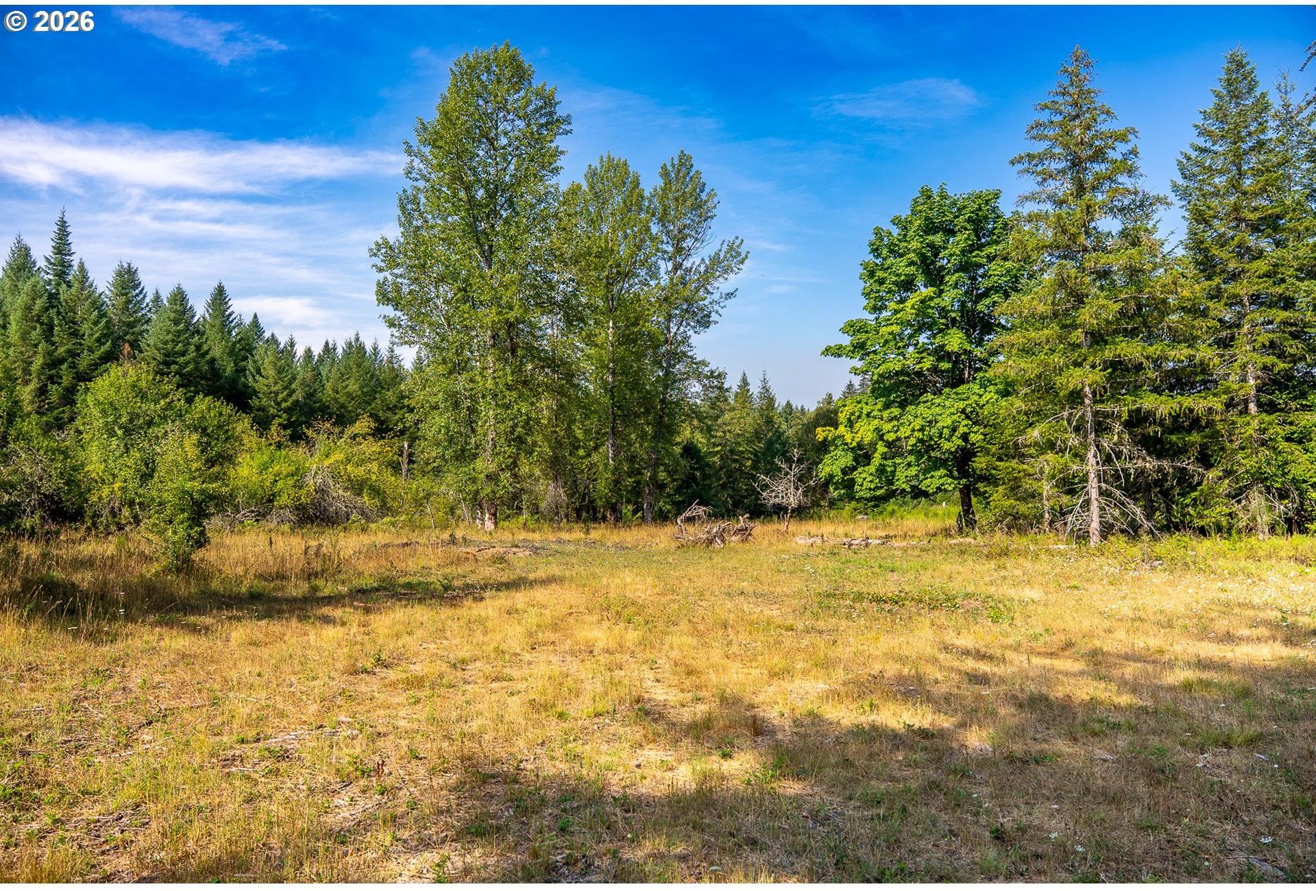 Hawk Meadows Road, Unit 5 Carson, WA 98610 - Photo 10 of 47 Gallery Image 10