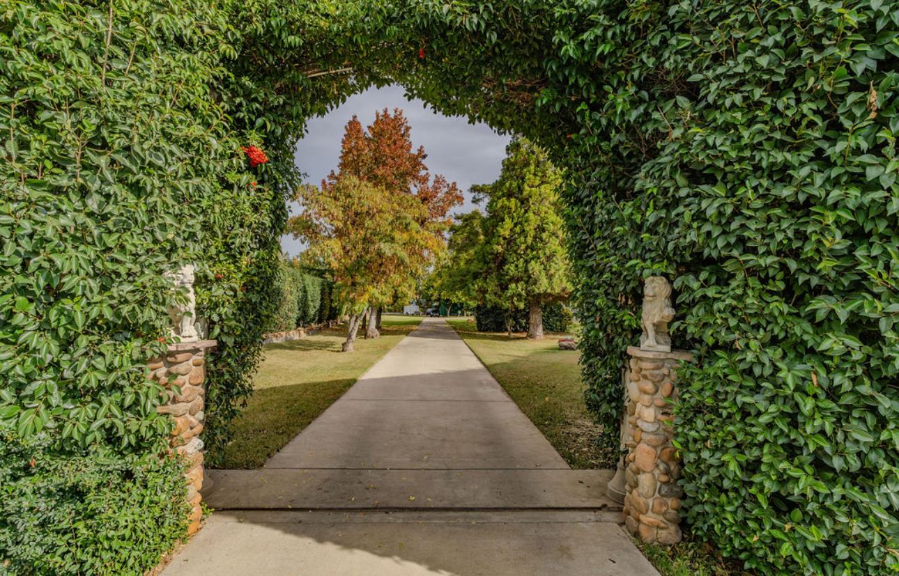 22140 North Clements Clements, CA 95227 - Photo 14 of 88 a view of flowing water with large trees