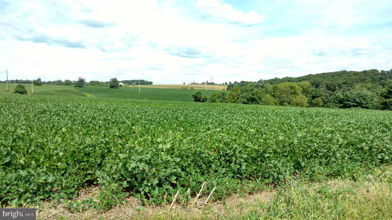 23-acres Bridgeview Road Stewartstown, PA 17363 - Photo 5 of 9 Gallery Image 5