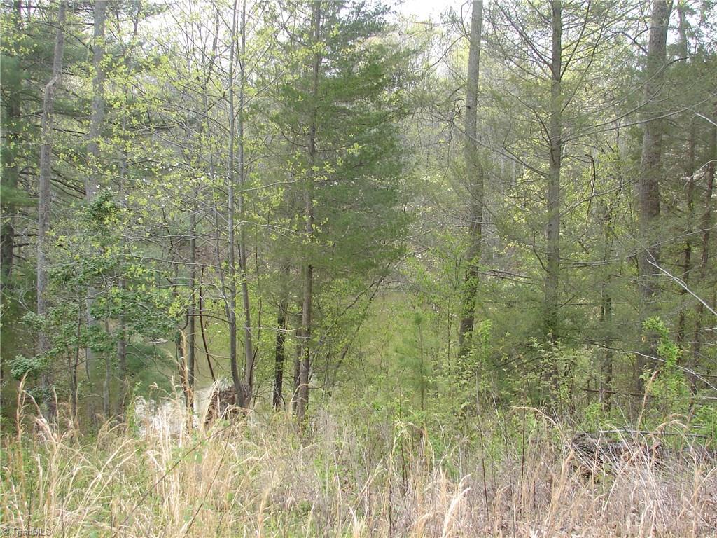 3225 Apperson Road East Bend, NC 27018 - Photo 11 of 23 Pond