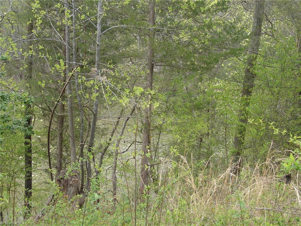 3225 Apperson Road East Bend, NC 27018 - Photo 12 of 23 Pond