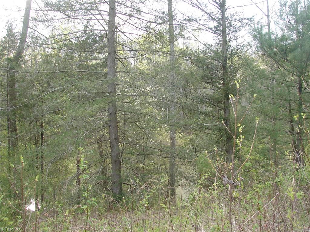 3225 Apperson Road East Bend, NC 27018 - Photo 13 of 23 Pond