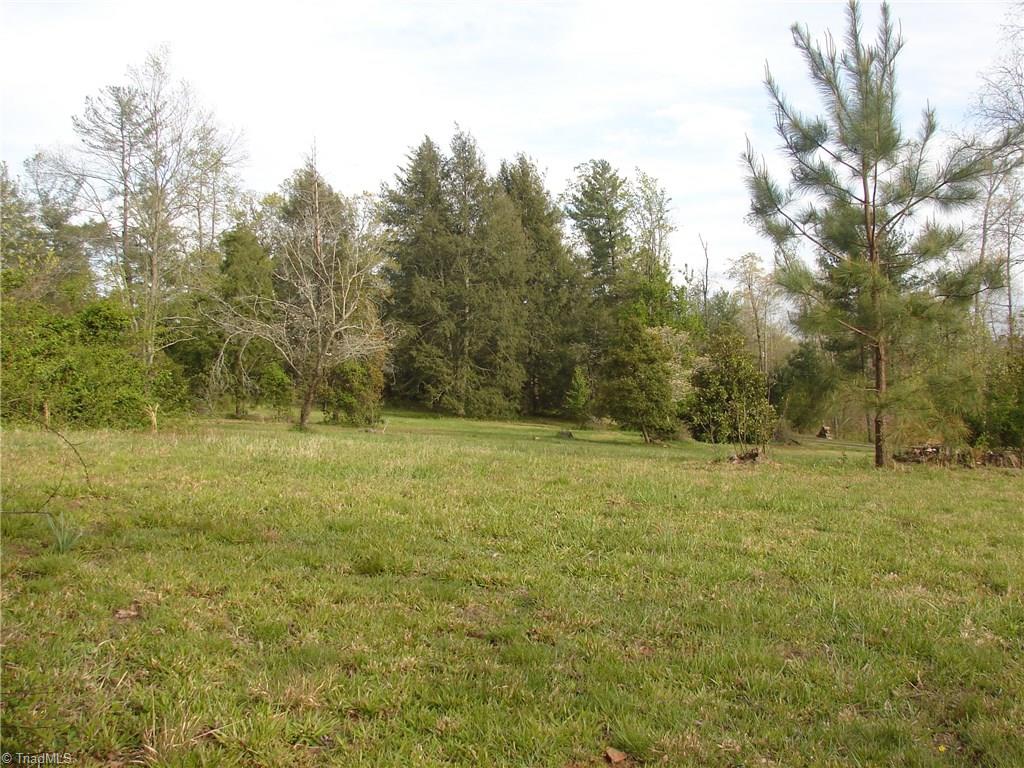 3225 Apperson Road East Bend, NC 27018 - Photo 16 of 23 Potential second homesite