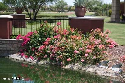 42049 West Cribbage Road Maricopa, AZ 85138 - Photo 18 of 21 landscapePicture-027_jpg_mxw440_mxh274