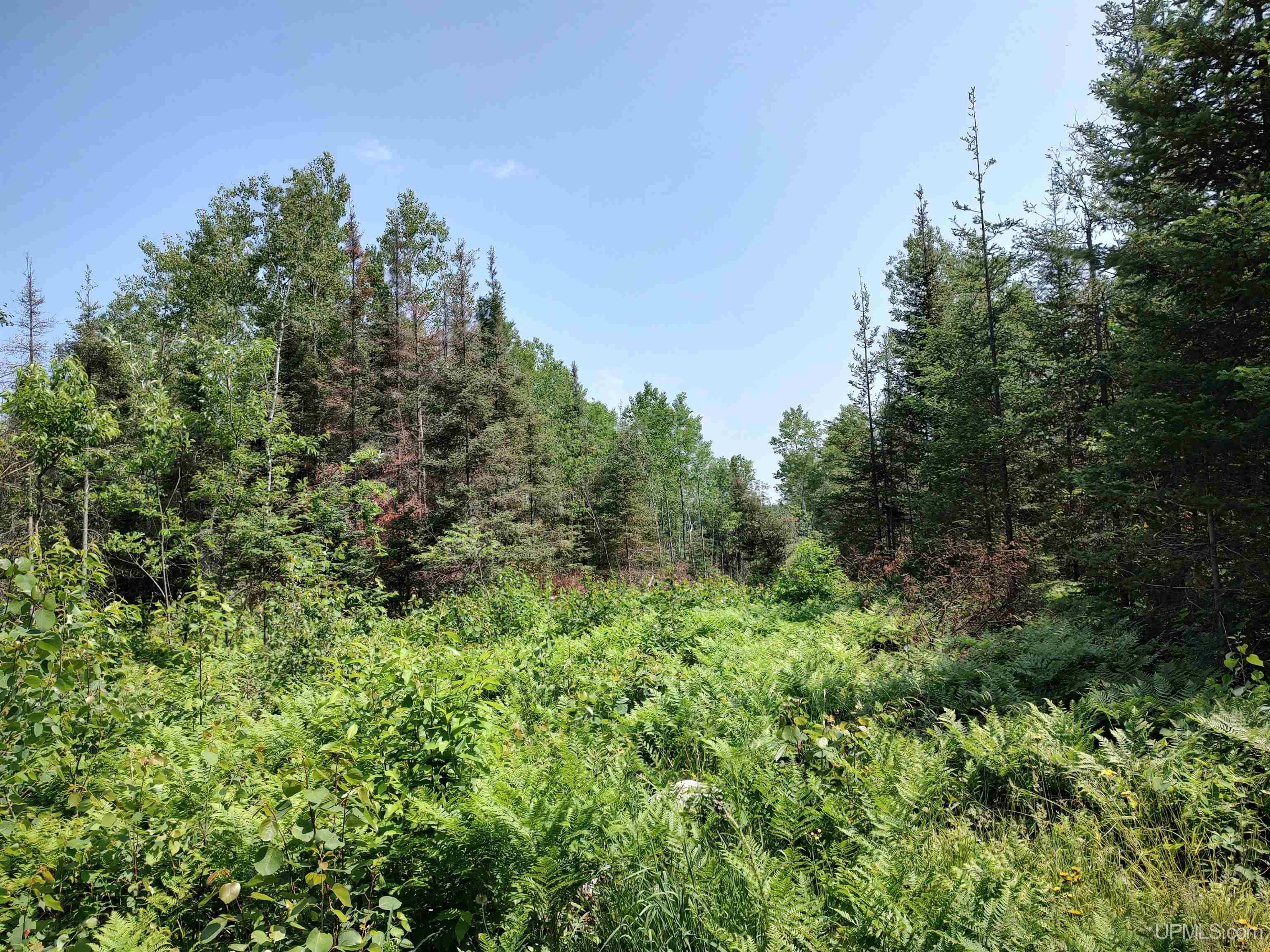 601 County Road 601 Road Republic, MI 49879 - Photo 23 of 60