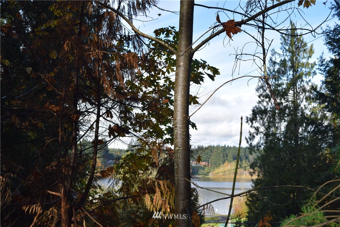 411 West Insels Road Shelton, WA 98584 - Photo 19 of 21 Gallery Image 19