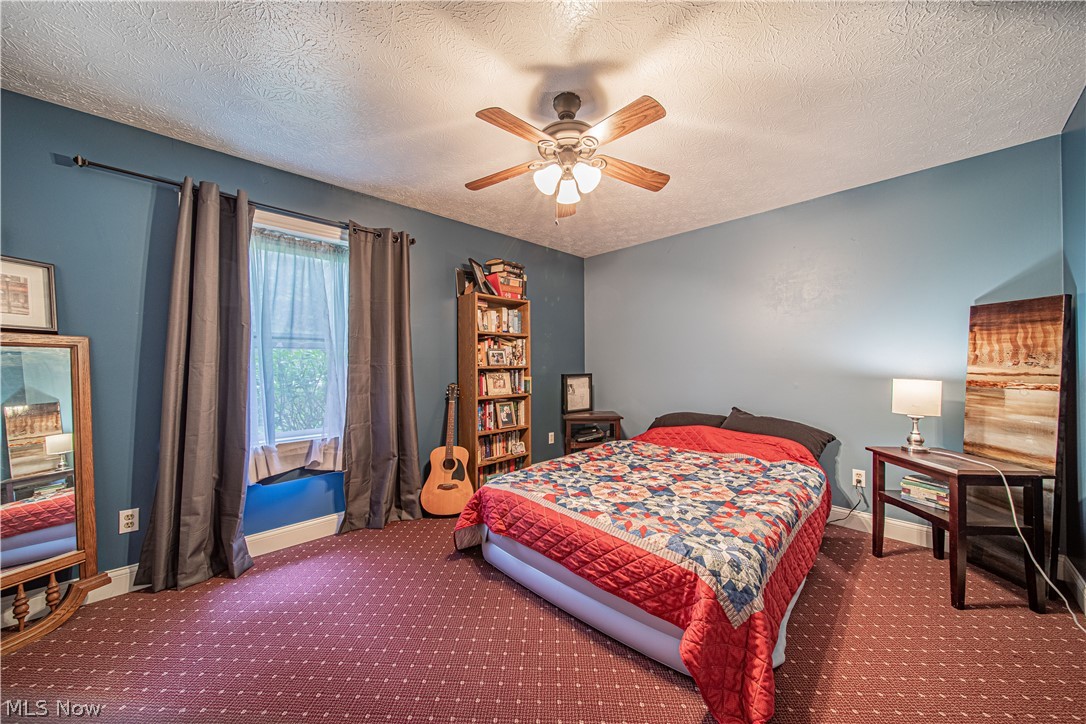 5941 South Ridge Road Madison, OH 44057 - Photo 10 of 26
