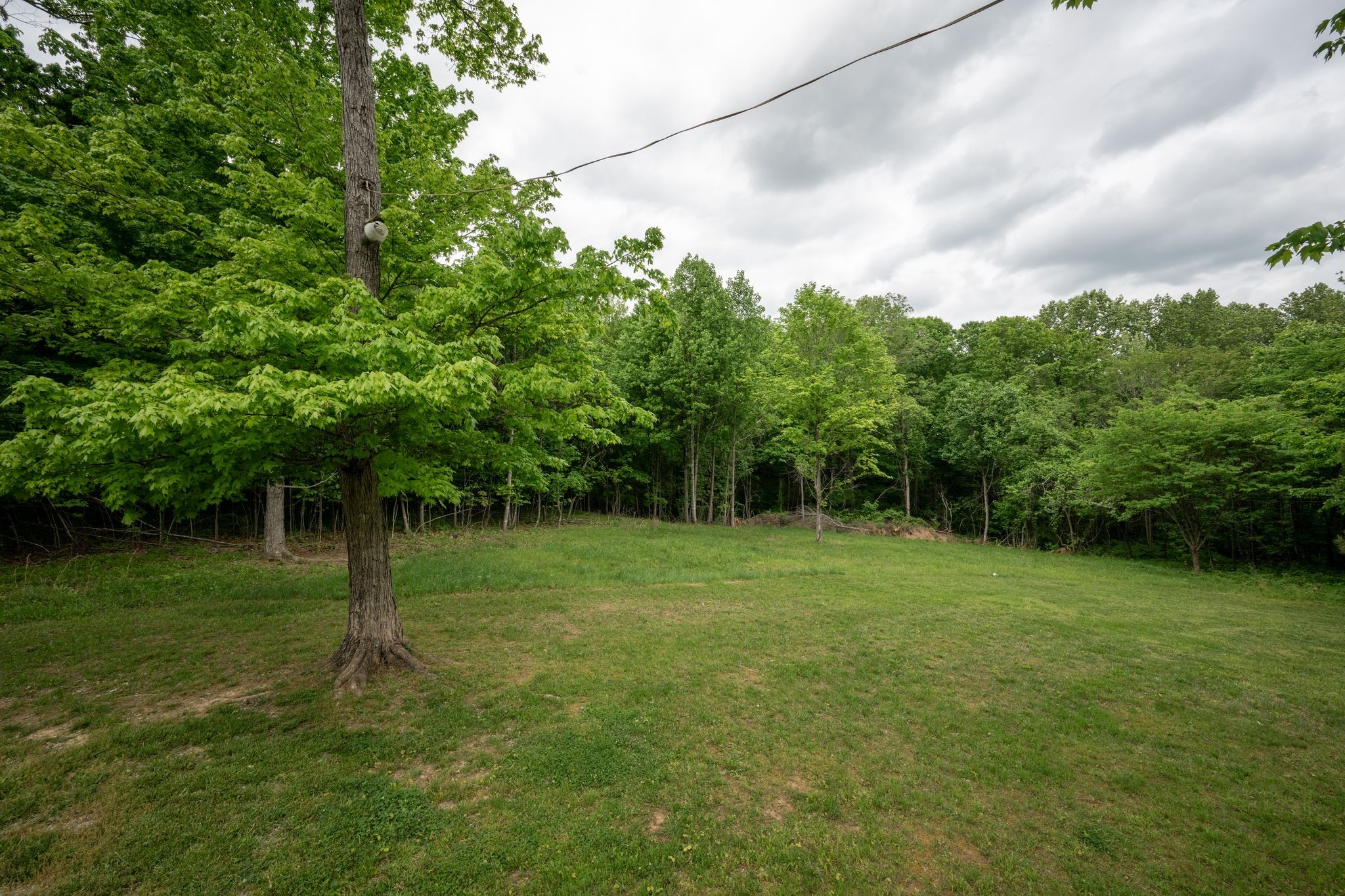 1911 Ridge Road Dickson, TN 37055 - Photo 29 of 29 Gallery Image 29