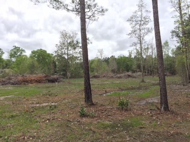 Lot 31 Charles Kelly Road Bush, LA 70431 - Photo 1 of 3 Gallery Image 1