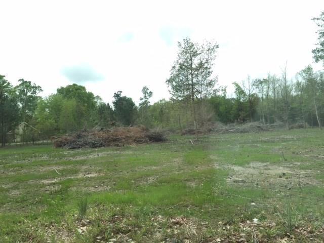 Lot 31 Charles Kelly Road Bush, LA 70431 - Photo 2 of 3 Gallery Image 2