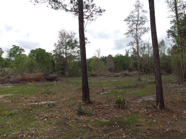 Lot 31 Charles Kelly Road Bush, LA 70431 - Photo 3 of 3 Gallery Image 3