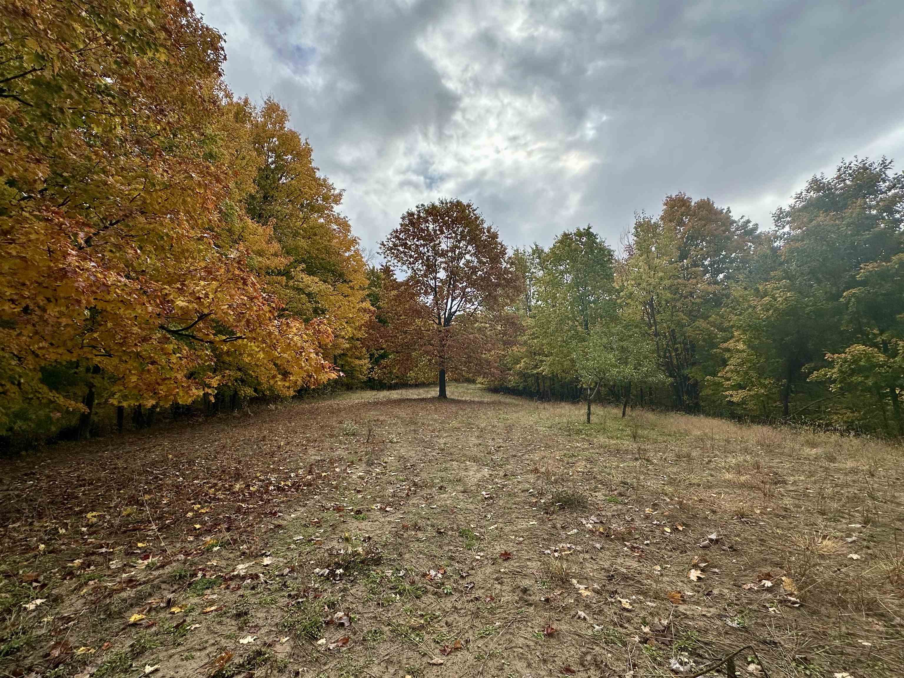 40.6-acres Off East Popa Road Cedar, MI 49621 - Photo 24 of 38 Gallery Image 24