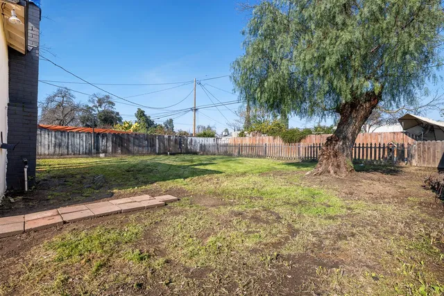 a view of a garden with a bench in the background