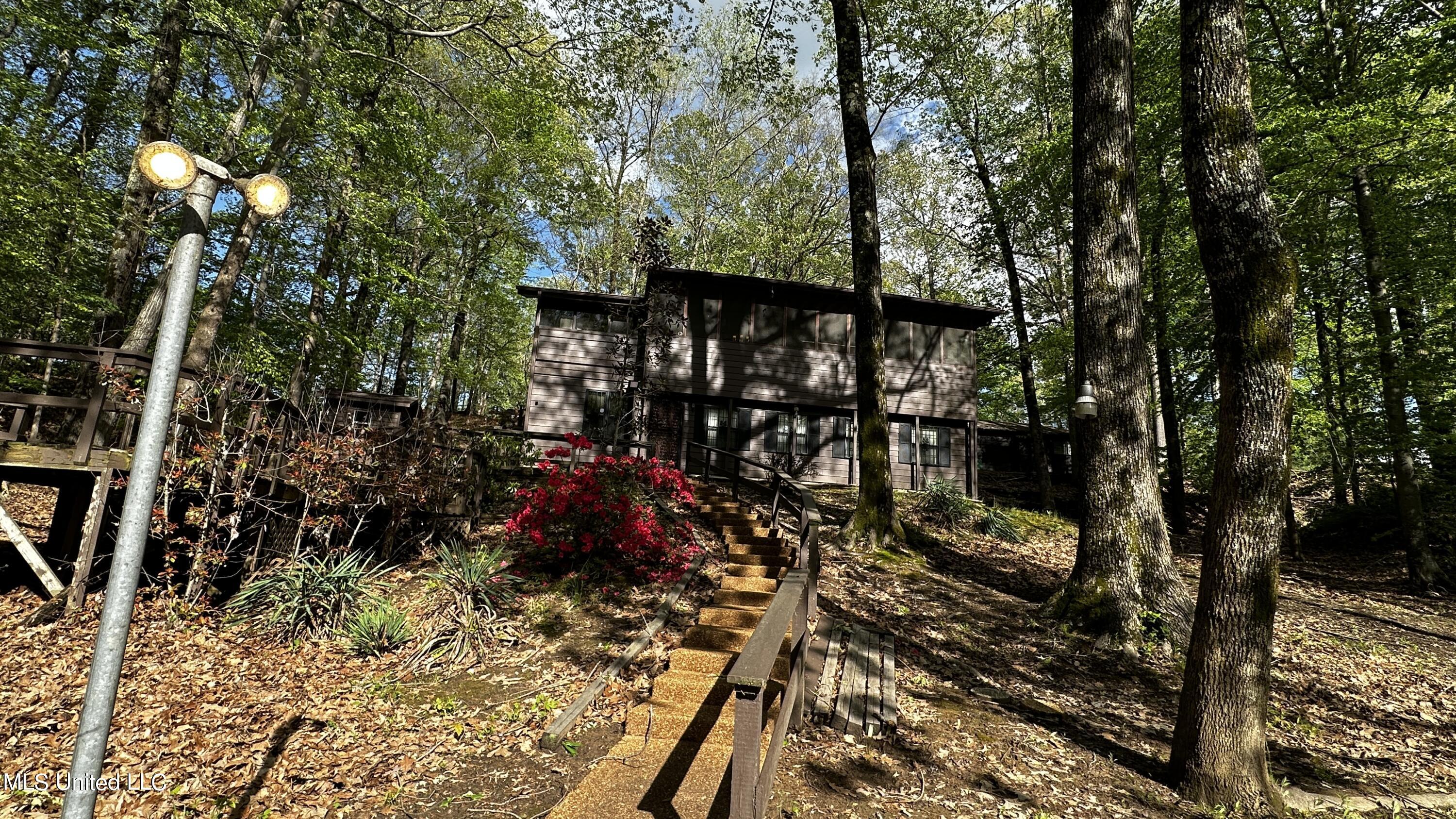 3337 Monans Rill Cove Hernando, MS 38632 - Photo 3 of 27 IMG_1274