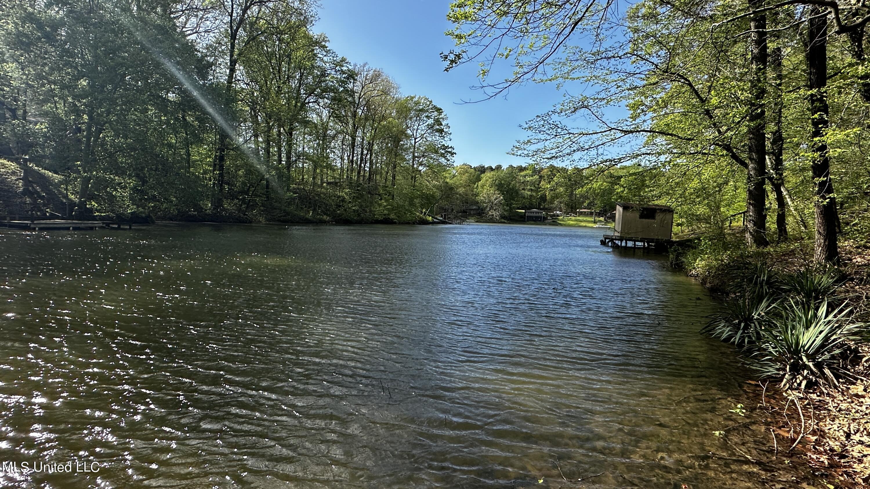 3337 Monans Rill Cove Hernando, MS 38632 - Photo 4 of 27 IMG_1273