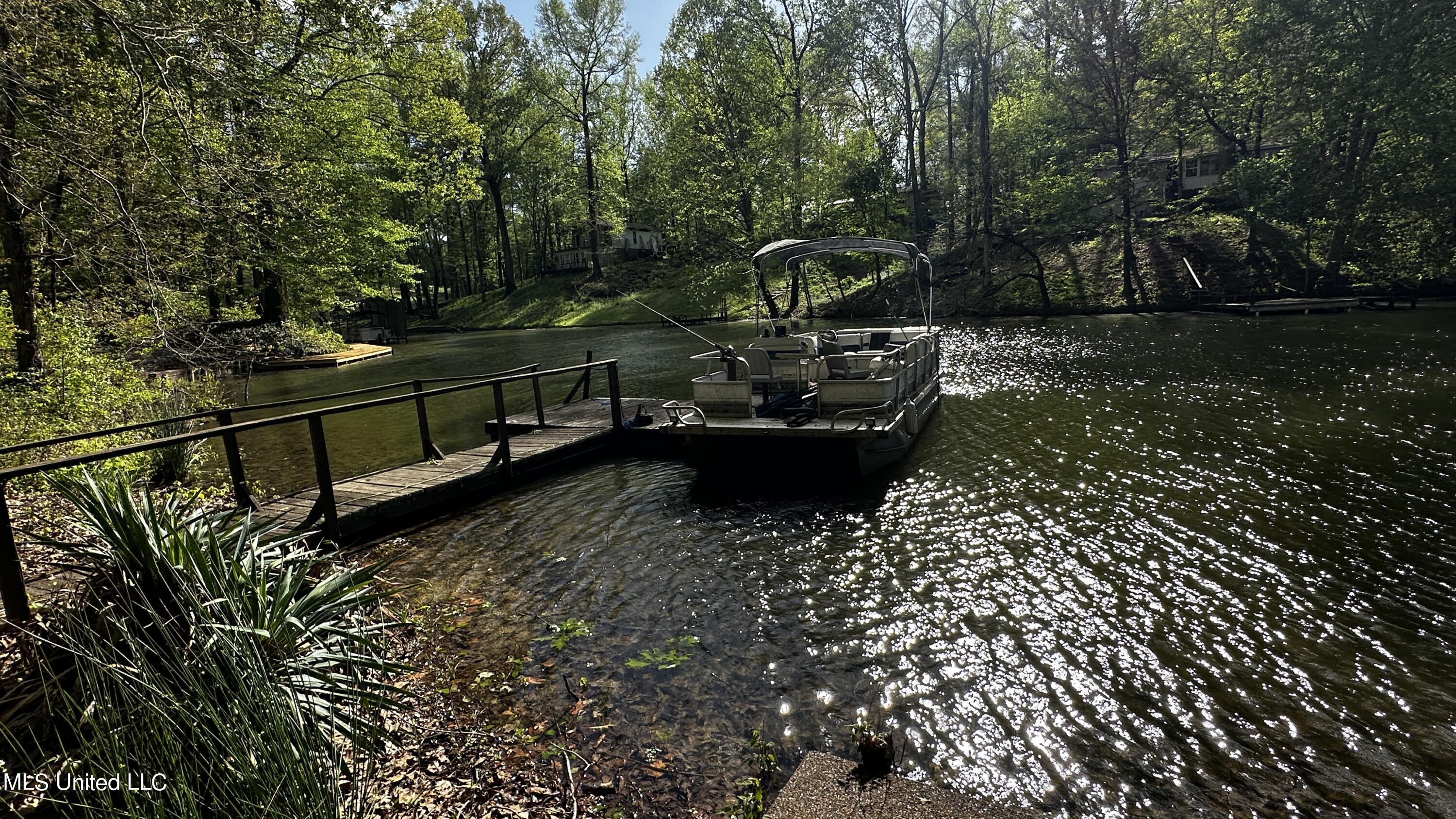 3337 Monans Rill Cove Hernando, MS 38632 - Photo 5 of 27 IMG_1272