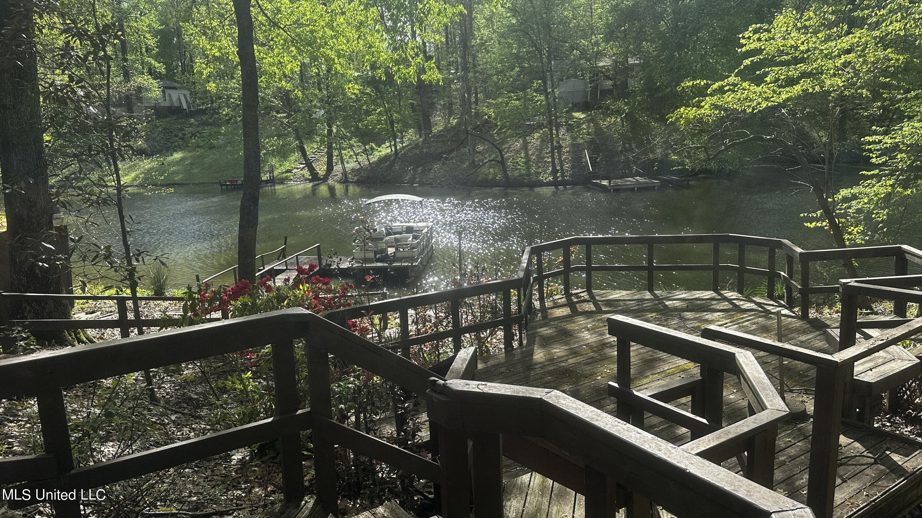 3337 Monans Rill Cove Hernando, MS 38632 - Photo 7 of 27 IMG_1269