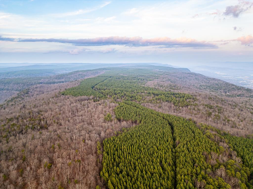 29 Smith Mountain Road Dunlap, TN 37327 - Photo 24 of 43 Gallery Image 24