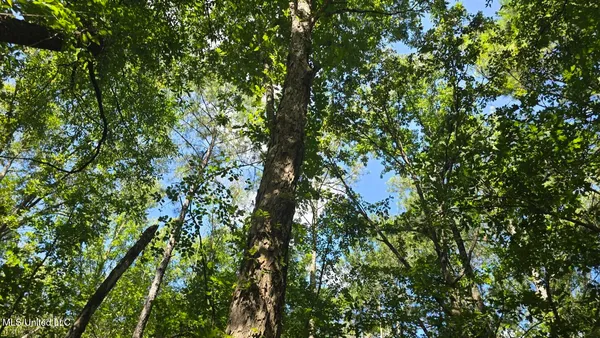 $60,000 | 397 West Oakvale Road, Mount Olive, MS 39119