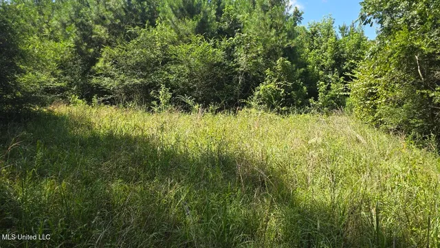 $60,000 | 397 West Oakvale Road, Mount Olive, MS 39119