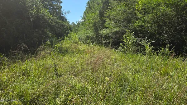 $60,000 | 397 West Oakvale Road, Mount Olive, MS 39119