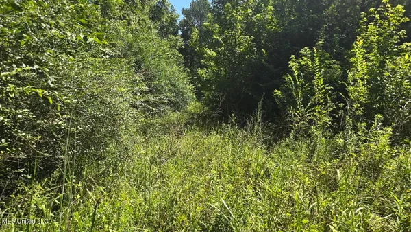 $60,000 | 397 West Oakvale Road, Mount Olive, MS 39119