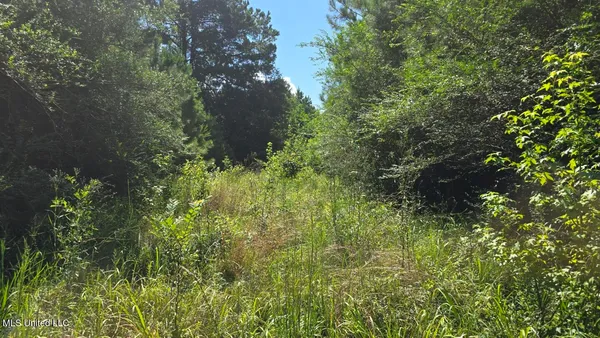 $60,000 | 397 West Oakvale Road, Mount Olive, MS 39119