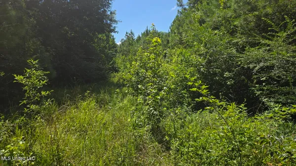 $60,000 | 397 West Oakvale Road, Mount Olive, MS 39119