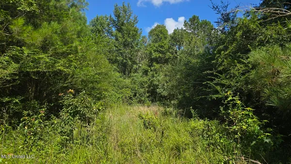 $60,000 | 397 West Oakvale Road, Mount Olive, MS 39119