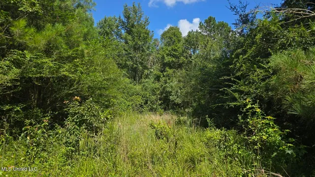 $60,000 | 397 West Oakvale Road, Mount Olive, MS 39119