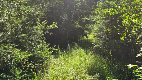 $60,000 | 397 West Oakvale Road, Mount Olive, MS 39119