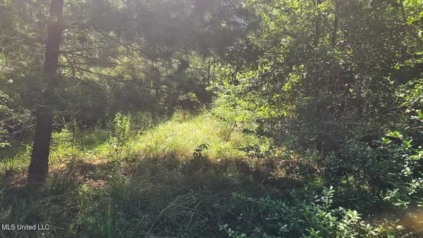 $60,000 | 397 West Oakvale Road, Mount Olive, MS 39119