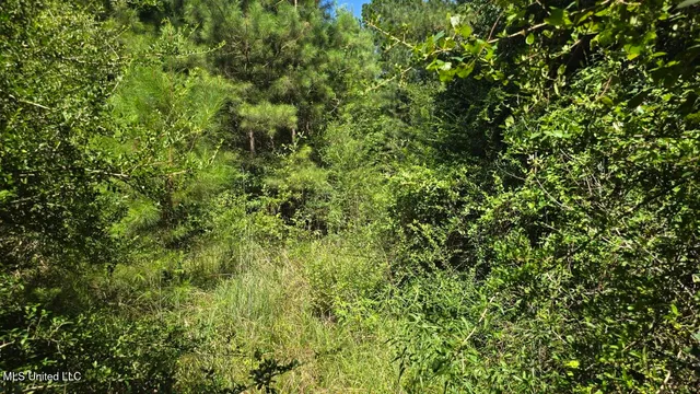 $60,000 | 397 West Oakvale Road, Mount Olive, MS 39119