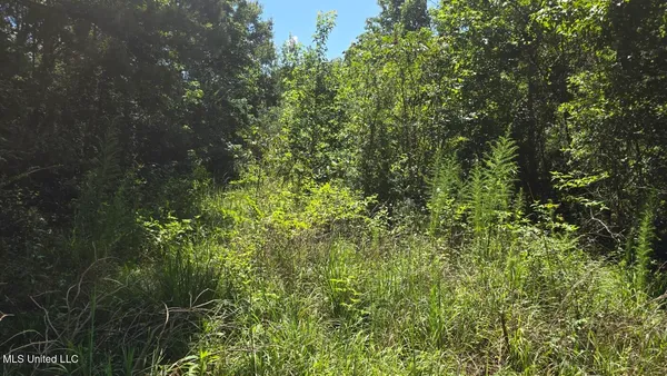 $60,000 | 397 West Oakvale Road, Mount Olive, MS 39119