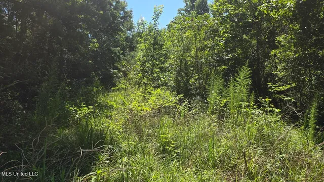 $60,000 | 397 West Oakvale Road, Mount Olive, MS 39119