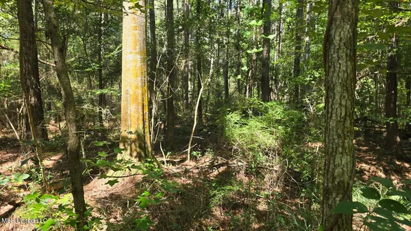 $60,000 | 397 West Oakvale Road, Mount Olive, MS 39119