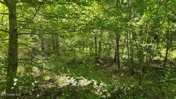 $60,000 | 397 West Oakvale Road, Mount Olive, MS 39119