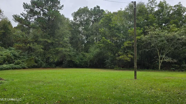 $60,000 | 397 West Oakvale Road, Mount Olive, MS 39119