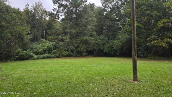 $60,000 | 397 West Oakvale Road, Mount Olive, MS 39119