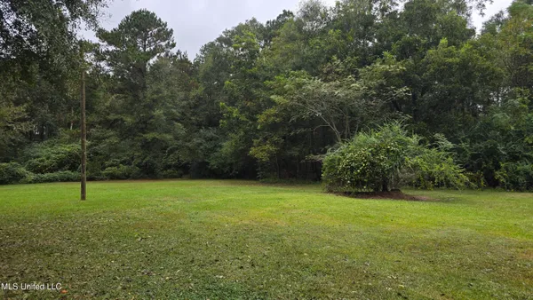 $60,000 | 397 West Oakvale Road, Mount Olive, MS 39119