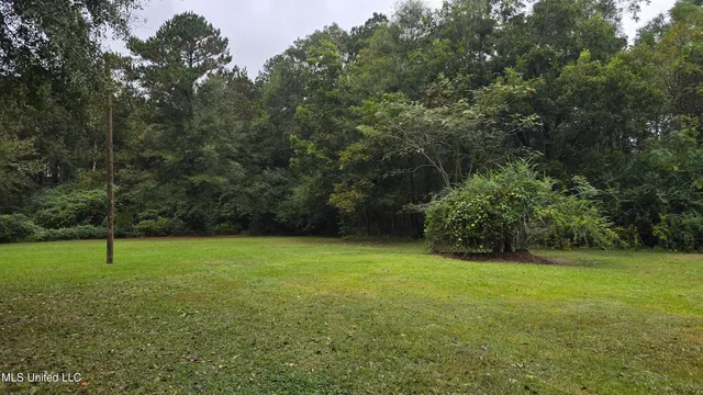 $60,000 | 397 West Oakvale Road, Mount Olive, MS 39119