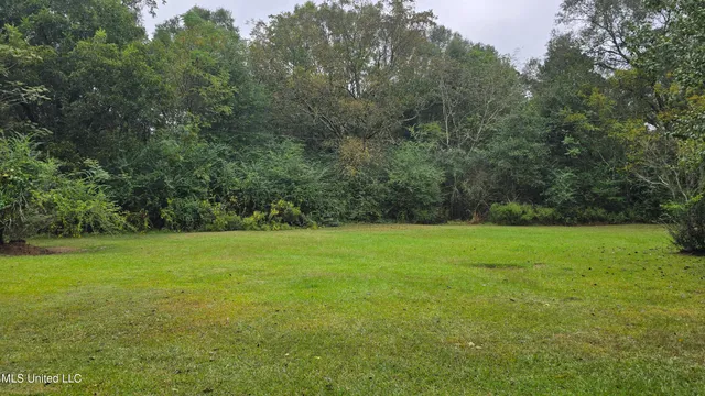 $60,000 | 397 West Oakvale Road, Mount Olive, MS 39119