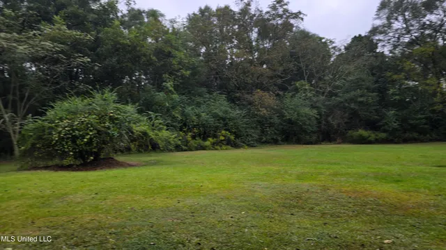 $60,000 | 397 West Oakvale Road, Mount Olive, MS 39119