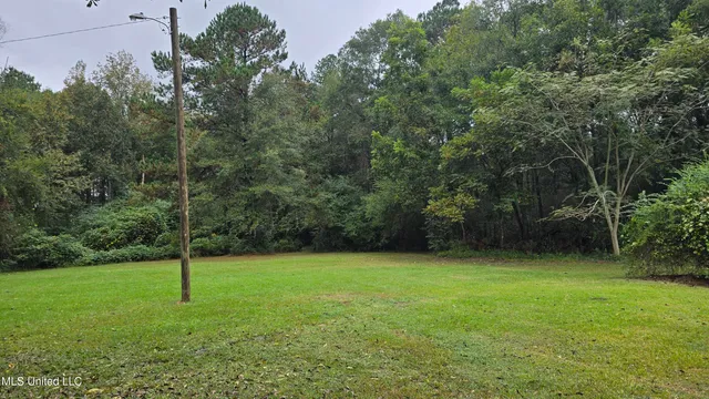 $60,000 | 397 West Oakvale Road, Mount Olive, MS 39119
