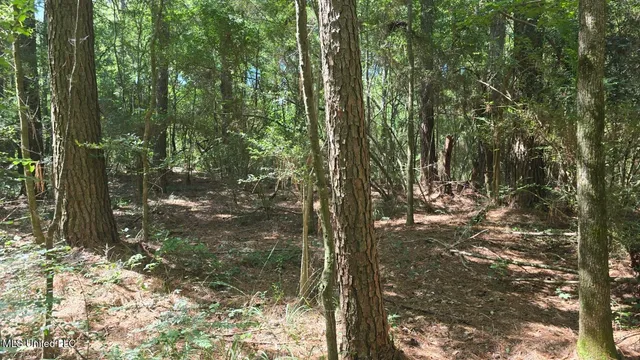 $60,000 | 397 West Oakvale Road, Mount Olive, MS 39119