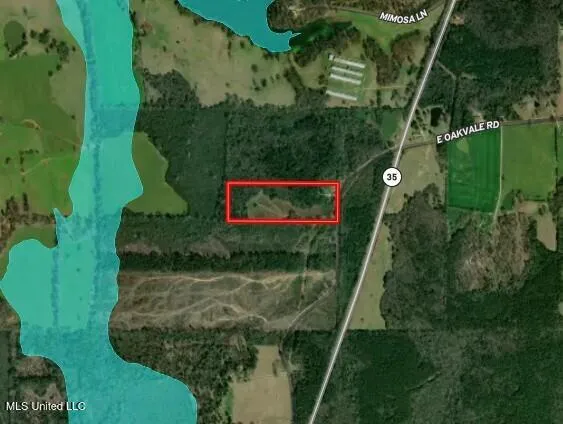 $60,000 | 397 West Oakvale Road, Mount Olive, MS 39119