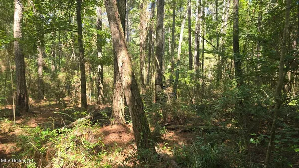 $60,000 | 397 West Oakvale Road, Mount Olive, MS 39119