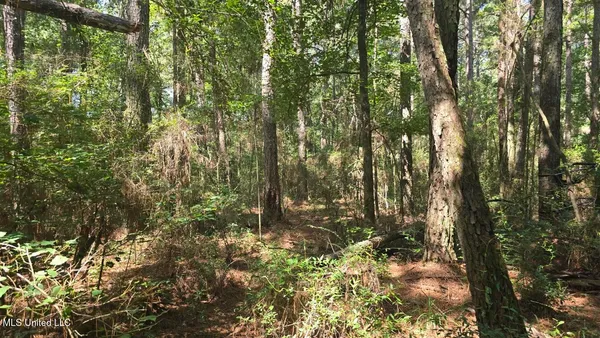 $60,000 | 397 West Oakvale Road, Mount Olive, MS 39119