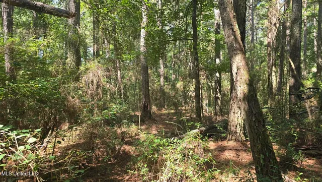 $60,000 | 397 West Oakvale Road, Mount Olive, MS 39119